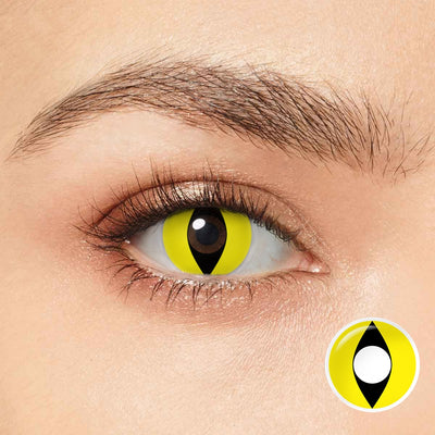 Olhos de gato amarelo